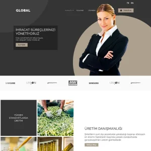 Danışmanlık Web Site
